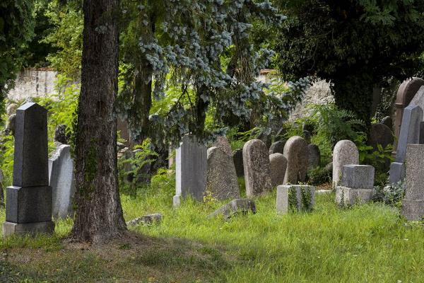 Mirotice - židovský hřbitov