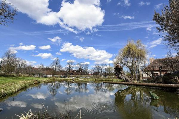 Rakovice - návesní rybník