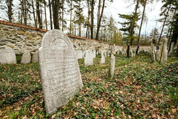 obr. k článku: Židovský hřbitov Pražák, 6