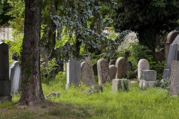 obr. k článku: Židovský hřbitov Mirotice, 4