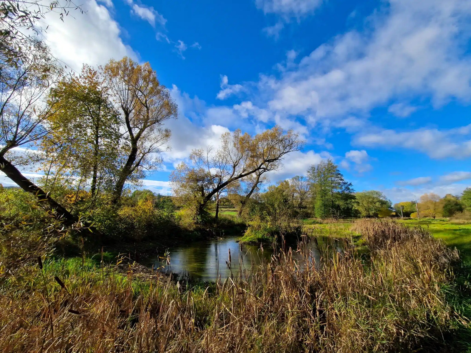 obr. k článku: Naučná stezka Tůně u Hajské