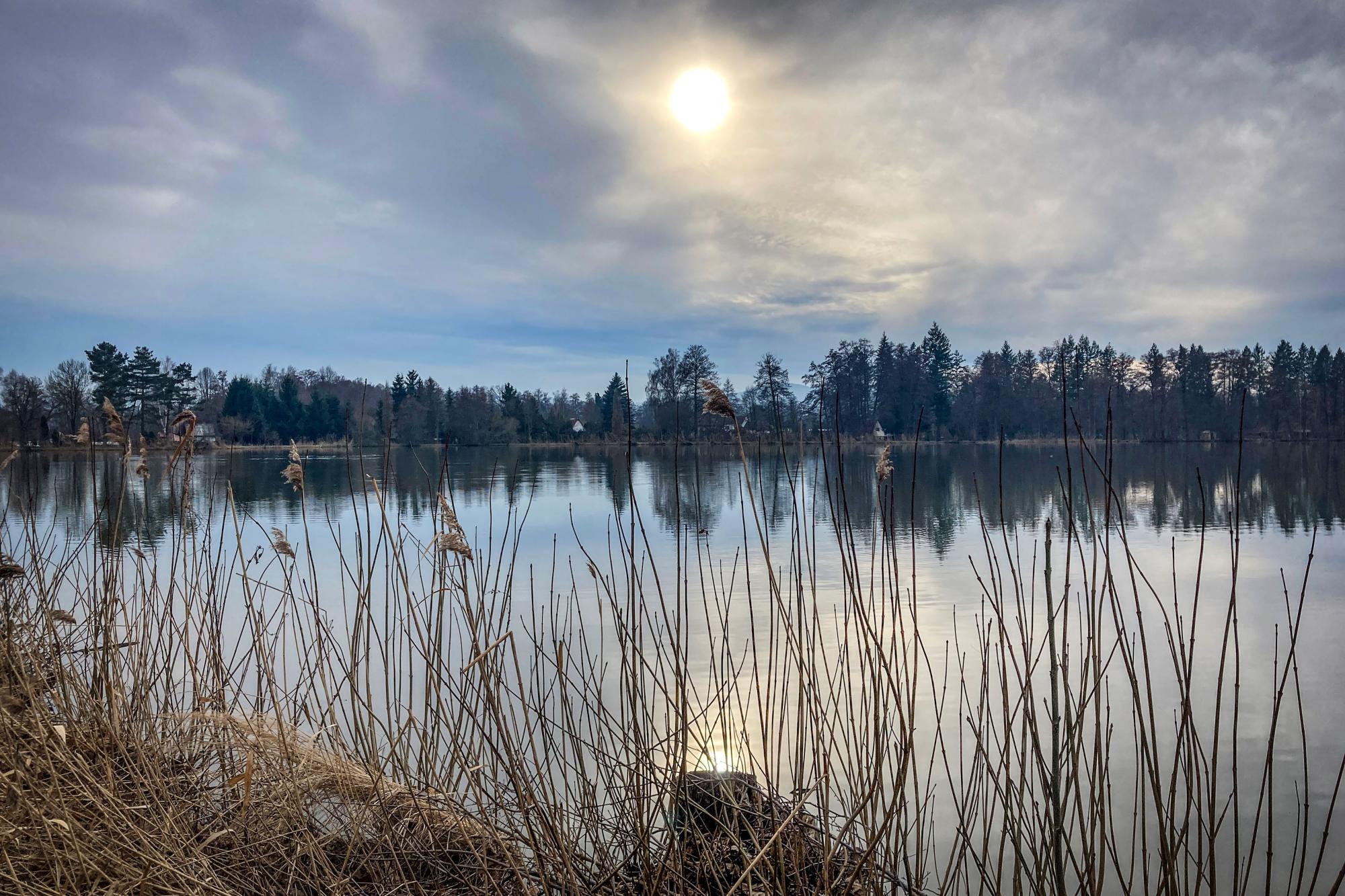 Městský rybářský okruh