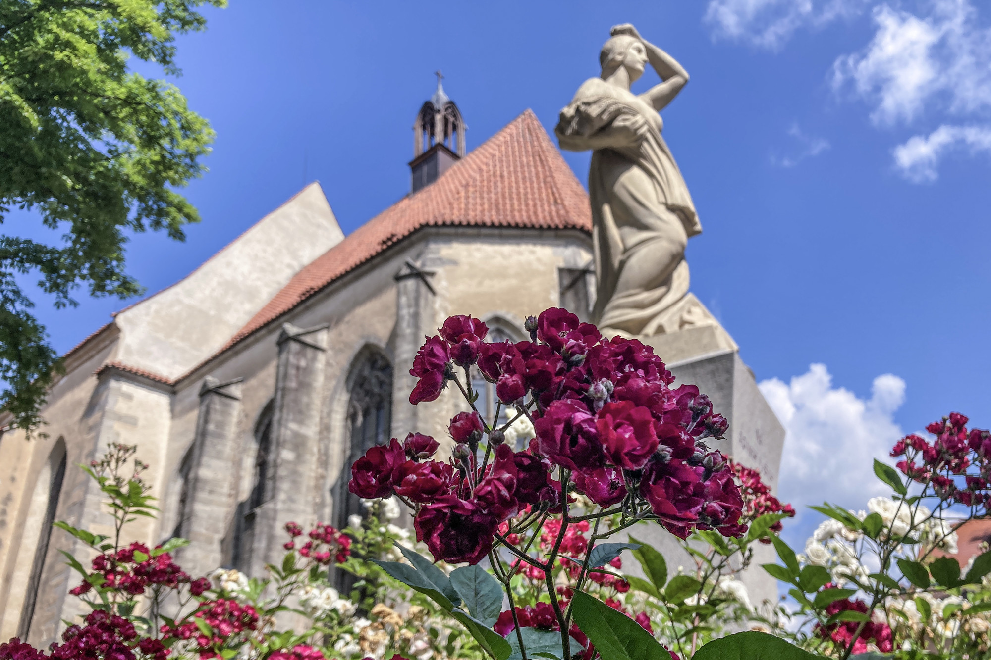 obr. k článku: Stezka blatenských královen