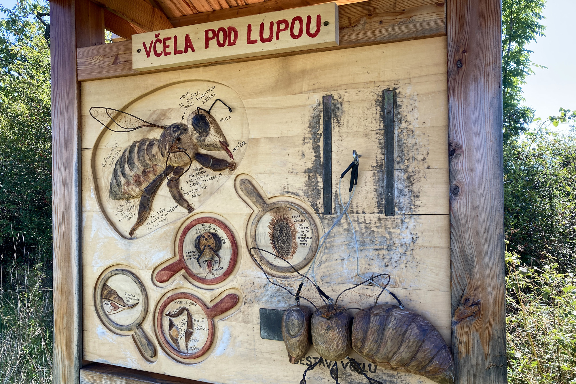 obr. k článku: Včelí stezka z Čestic do Krušlova