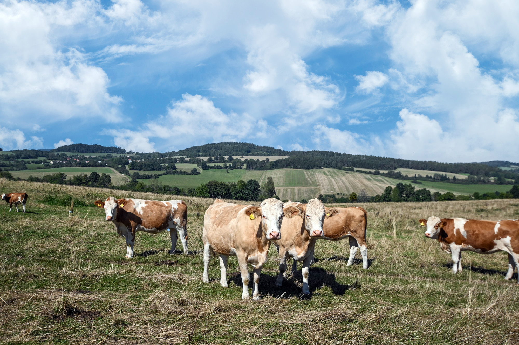 obr. k článku: Za Christianem Battagliou