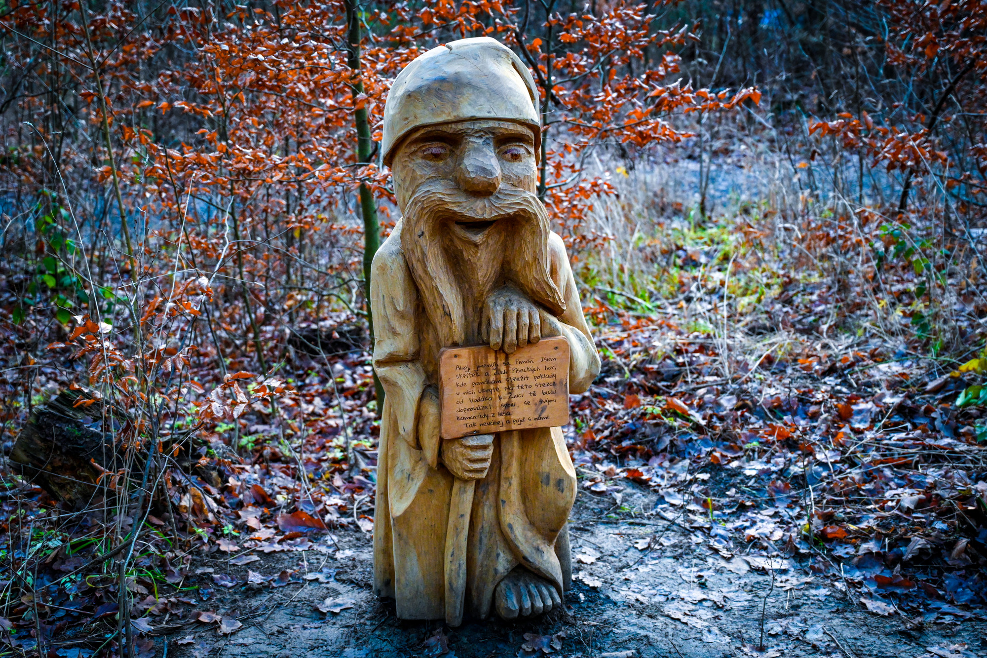 Lesní stezkou s Pimonem od Vodáka k Živci