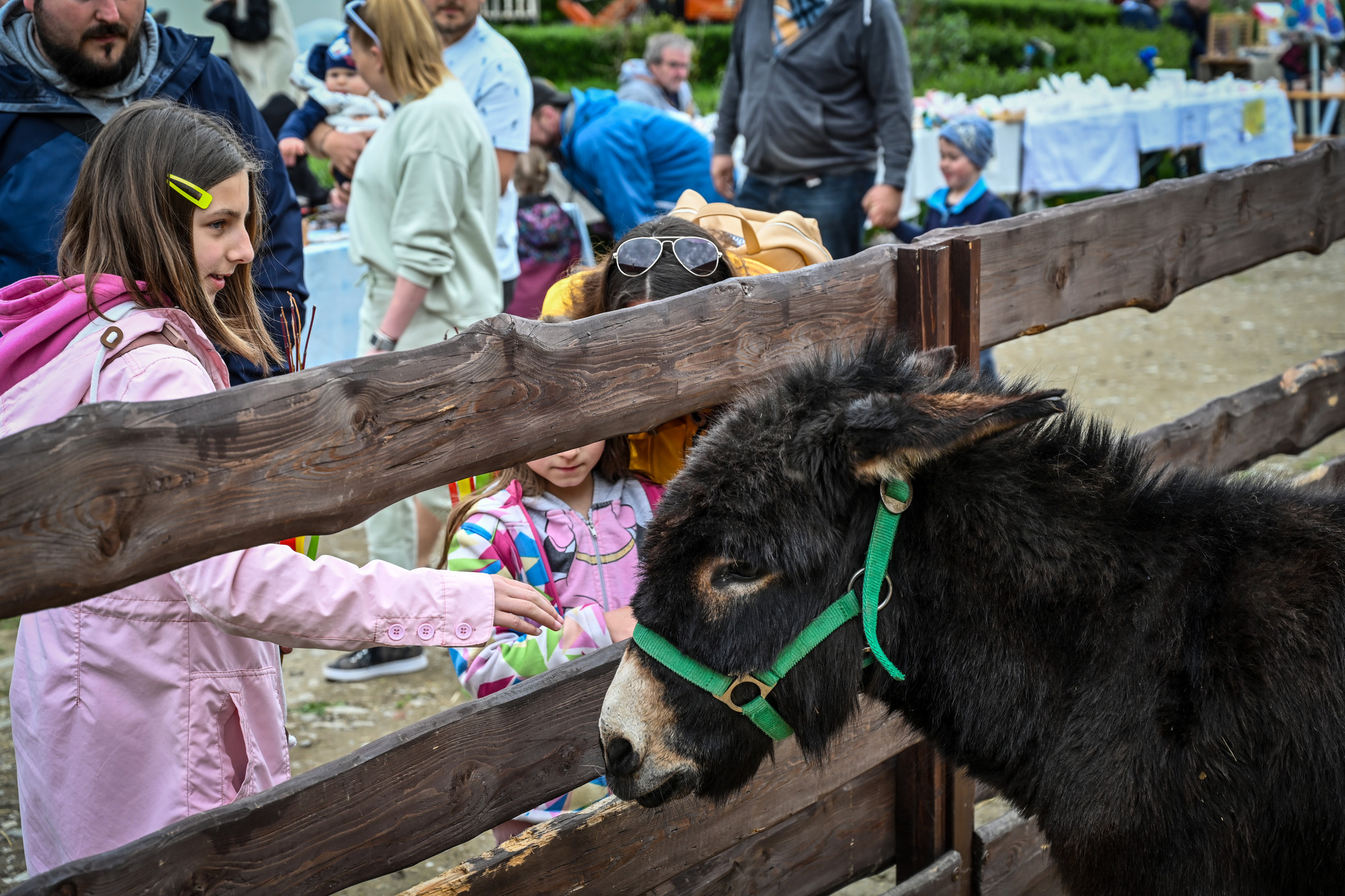 obr. k článku: Kozlův statek Farmapark Předotice