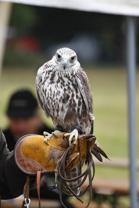 Na kole za zvířátky a zase zpátky