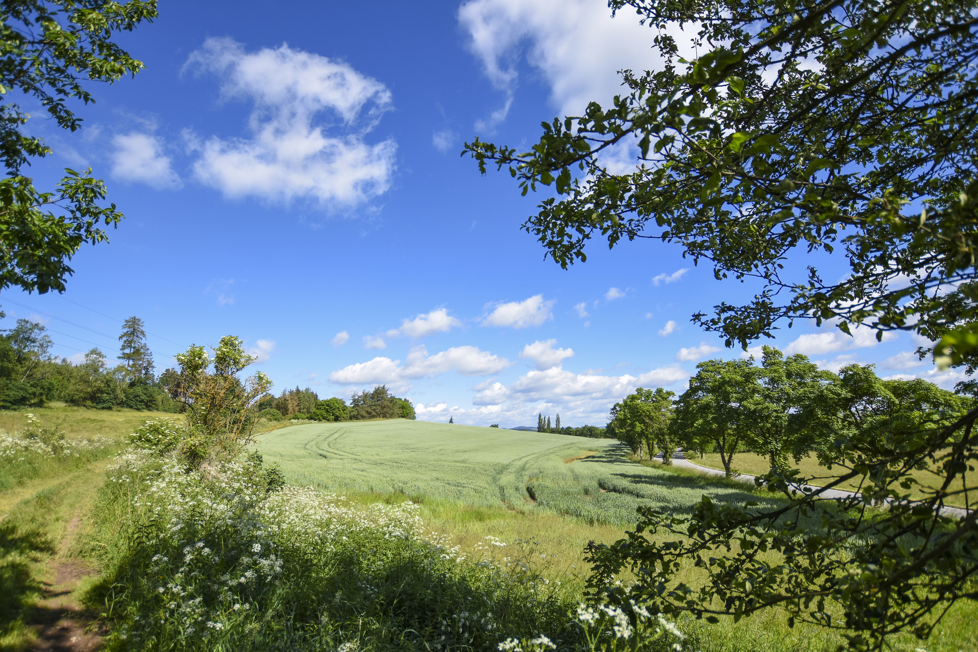 Cesta k Zlatému vrchu
