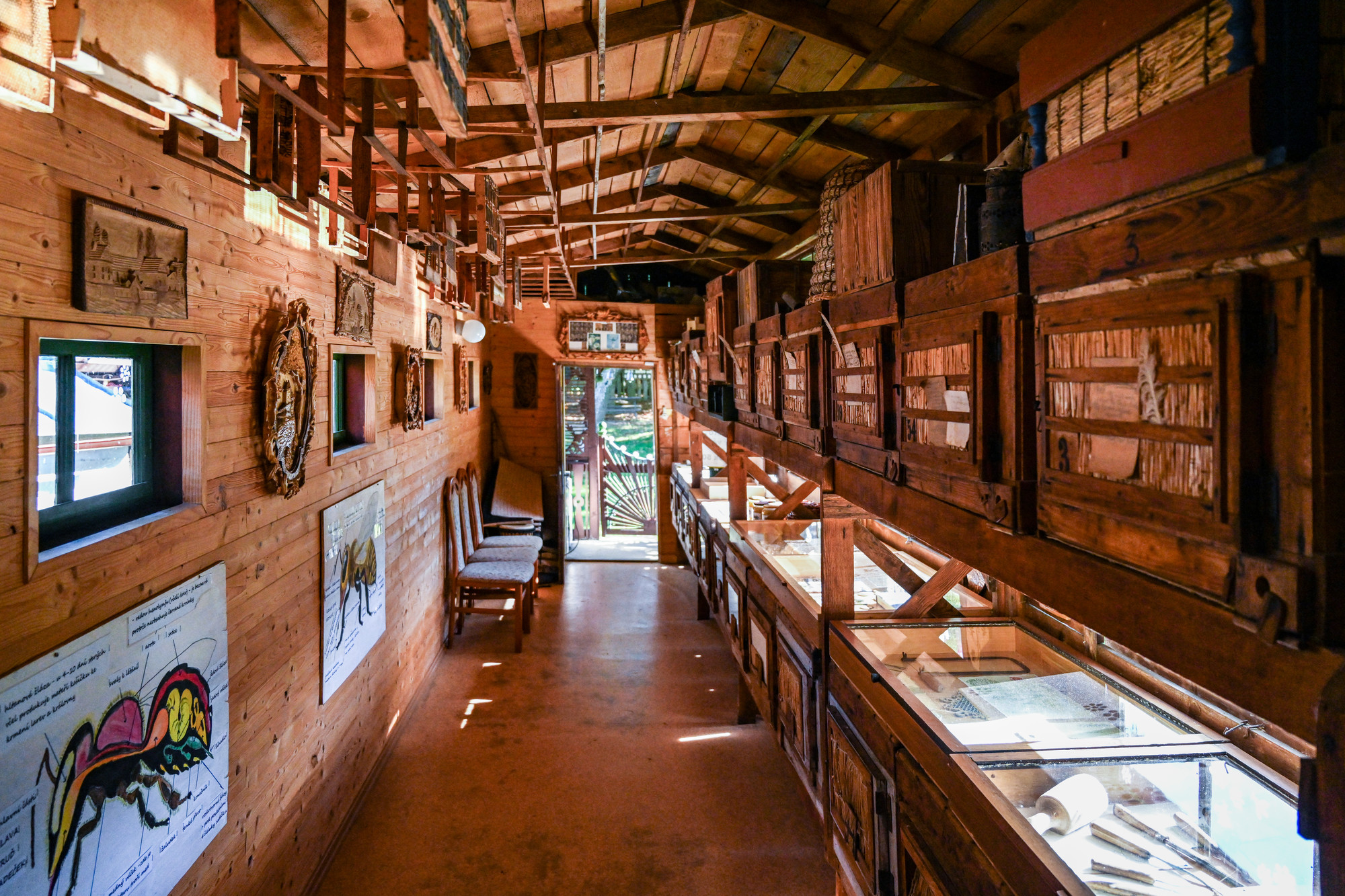 Včelí stezka z Čestic do Krušlova