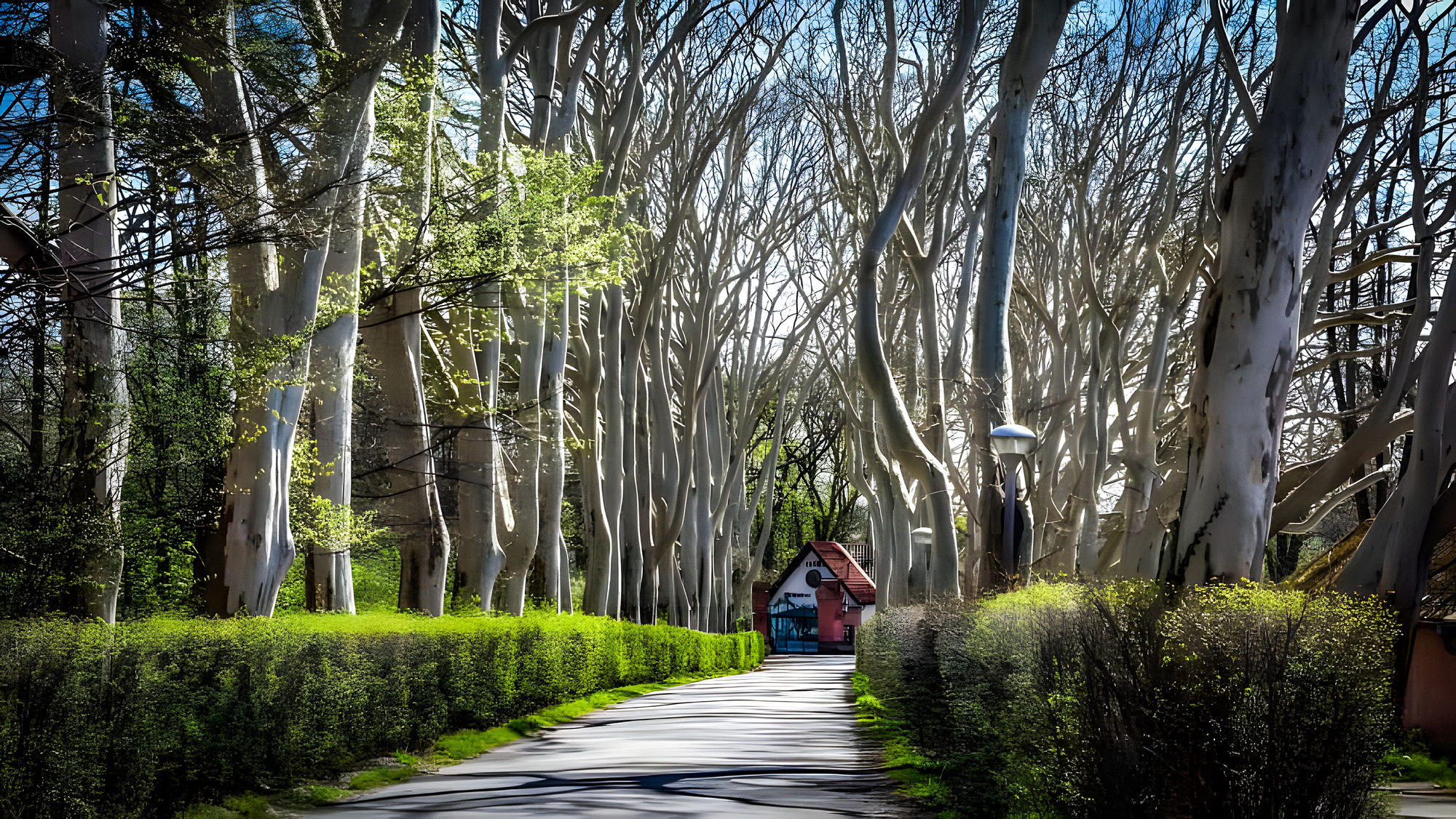 Okolo Vodňan naučnými stezkami